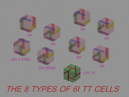 6I_TT_8_Cell_Types