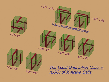 LOC_of_X_Cells