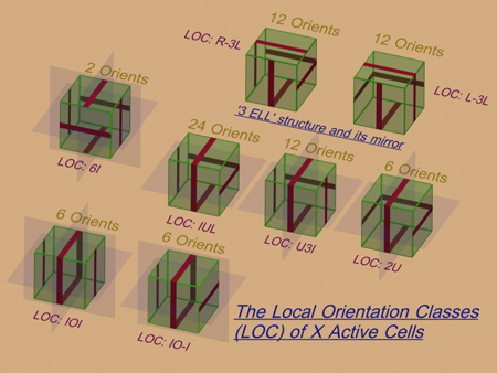 LOC_of_X_Cells_4