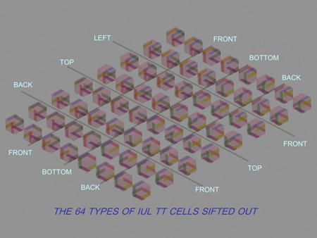 IUL_TT_64_Cell_types